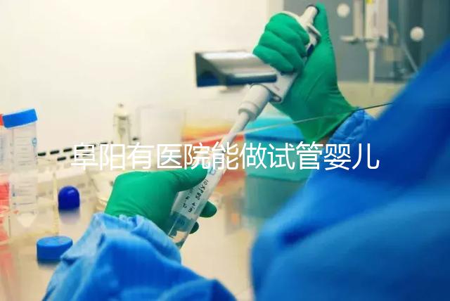 阜陽有醫(yī)院能做試管嬰兒嗎,做一次大概要花多少錢?