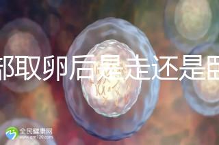 腹部取卵后是走還是臥床?適當(dāng)走路喝點(diǎn)紅豆水是正確做法