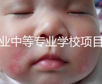 職業中等專業學校項目（中等職業學校專業建設規劃實施方案）