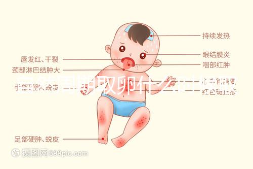 自然周期取卵什么時候?。孔罴褧r間應控制在這個時候