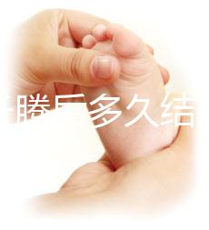 西瓜長騰后多久結(jié)西瓜(西瓜多久長藤)