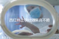 西紅柿止孕吐效果真不賴，選小的生吃或加雞蛋打湯都行