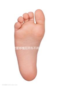 試管移植后開(kāi)車(chē)不用太講究，休息和出行問(wèn)題解答都在這里