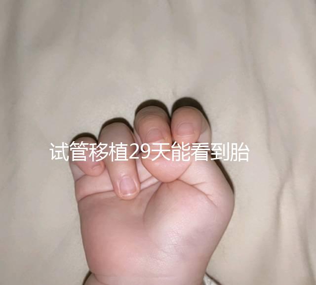 試管移植29天能看到胎心嗎？B超還能看孕囊大小和胎心