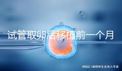 試管取卵后移植前一個(gè)月牙痛,可以去拔牙嗎?