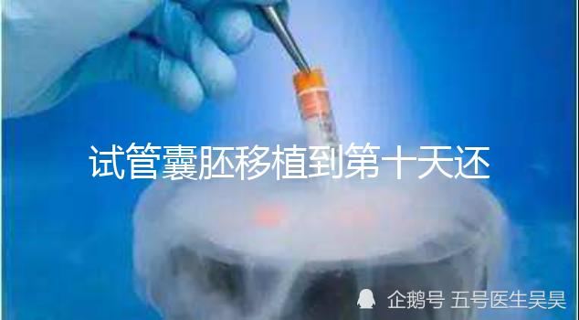 試管囊胚移植到第十天還是白板別擔(dān)心，放松心態(tài)等逆襲吧！