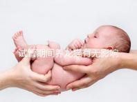 試管期間養(yǎng)龍貓有無影響剖析，是否胎停、流產(chǎn)取決這幾點(diǎn)