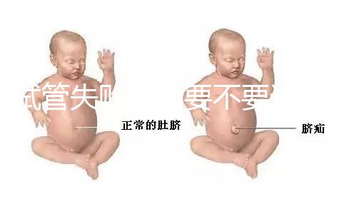 試管失敗離婚要不要退彩禮揭秘，三金怎么處理？