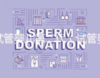 試管嬰兒第二代（試管嬰兒第二代和第三代有什么區(qū)別）