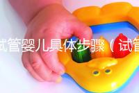 試管嬰兒具體步驟（試管嬰兒具體步驟準備）