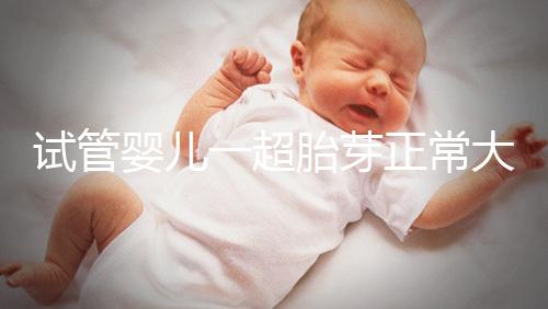 試管嬰兒一超胎芽正常大小不超這個數，2mm不一定會胎停