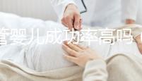 試管嬰兒成功率高嗎（40歲試管嬰兒成功率高嗎）