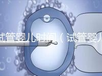試管嬰兒時間（試管嬰兒時間需要多久）