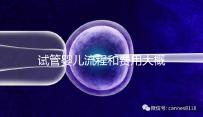 試管嬰兒流程和費(fèi)用大概多少做試管嬰兒的全部流程需要多少錢(qián)
