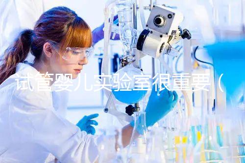 試管嬰兒實驗室很重要(試管嬰兒不為人知的缺陷)