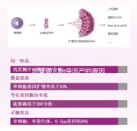 試管嬰兒胎停流產的原因剖析，胎停育與胎停孕大不同