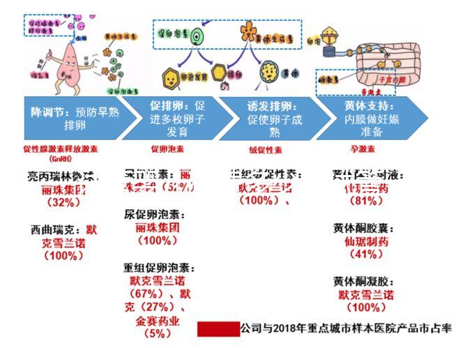 試管嬰兒花費(fèi)多少（試管嬰兒花費(fèi)多少錢(qián)？）