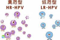 試管嬰兒詳細過程（試管嬰兒詳細過程小說）