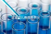 試管嬰兒費用是多少