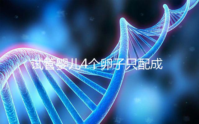 試管嬰兒4個卵子只配成1個胚胎,堅持一試我幸運(yùn)成功