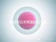 解放軍白求恩國際和平醫(yī)院（中國人民解放軍白求恩國際和平醫(yī)院）