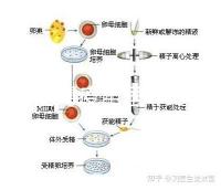 輪狀病毒疫苗雖非終身免疫，寶寶接種的好處不止一點