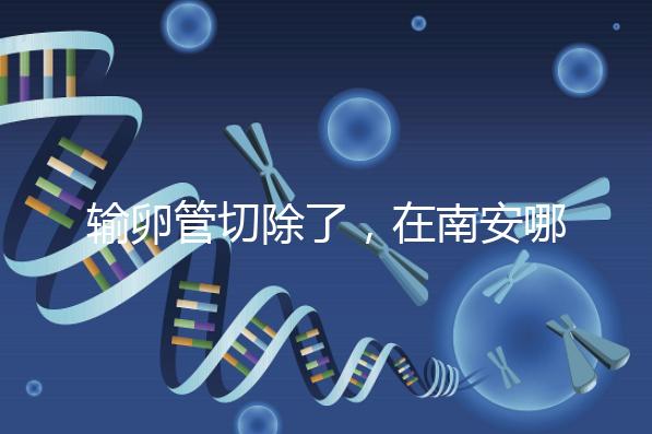 輸卵管切除了,在南安哪里能做試管嬰兒?