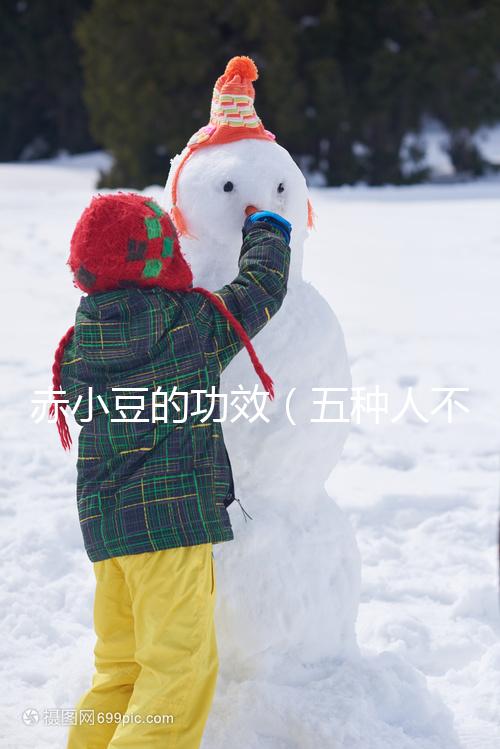 赤小豆的功效(五種人不宜吃赤小豆)