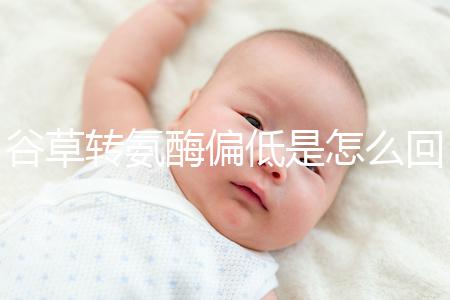 谷草轉氨酶偏低是怎么回事?肝功能異常為其主要原因