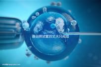 誰(shuí)說(shuō)做試管的丈夫只戒煙十天沒(méi)有影響，前一天晚上抽煙或者很難移植？