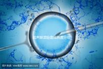 超聲解讀胎盤成熟度分級(jí)標(biāo)準(zhǔn)，二級(jí)到三級(jí)時(shí)間真說不準(zhǔn)