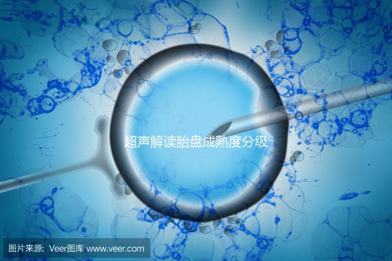 超聲解讀胎盤成熟度分級(jí)標(biāo)準(zhǔn)，二級(jí)到三級(jí)時(shí)間真說不準(zhǔn)