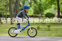 馬來(lái)西亞試管嬰兒合法選性別,孩子性別你決定,就是這么任性