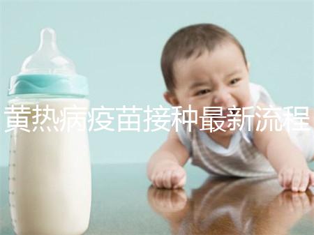 黃熱病疫苗接種最新流程詳解，這八大步驟你需要了解