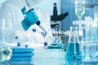 黃體期促排卵泡長得慢原因已找到！4種手段幫你解決