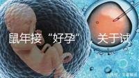 鼠年接“好孕”，關于試管嬰兒取卵的那些事兒！