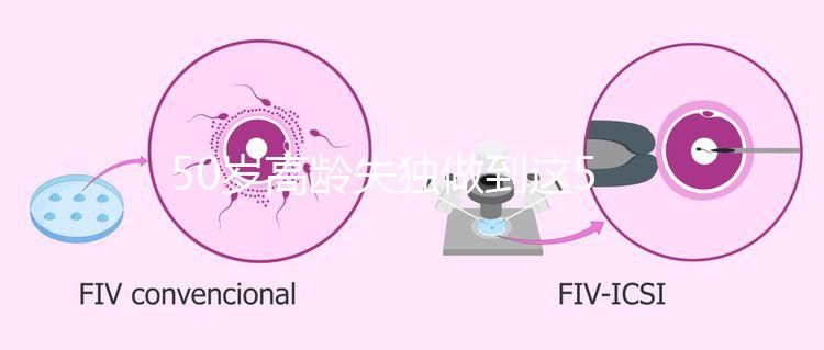 50歲高齡失獨做到這5點，自然受孕率幾率也能很高！