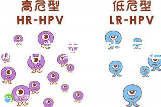 6個胚胎養囊成功率是多大答案在這，能配成3個機會就大