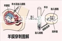 6細胞二級胚胎著床率與養囊成功率解讀，拿不準移植與否戳