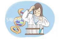 5號染色體q31.3微缺失綜合癥嚴重嗎？會怎么樣？