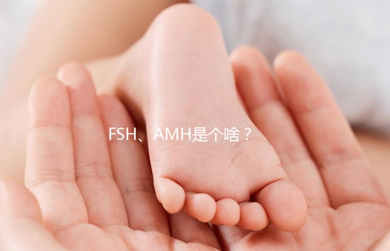 FSH、AMH是個啥？卵巢功能好不好看這些指標！