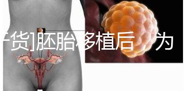 [干貨]胚胎移植后，為什么醫生告訴你不要提前懷孕？