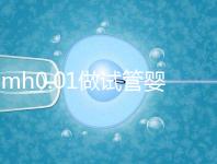amh0.01做試管嬰兒有成功的嗎？有無卵子才是好孕關(guān)鍵