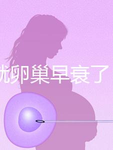 31歲就卵巢早衰了,在河北霸州哪里能做供卵試管嬰兒?
