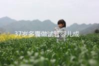 37歲多囊做試管嬰兒成功幾率多高？國內哪里做比較好