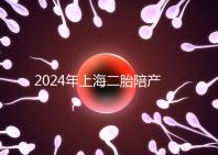 2024年上海二胎陪產(chǎn)假新規(guī)定，浦東10天或15天