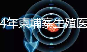 2024年柬埔寨生殖醫(yī)院排名,試管嬰兒都在這里