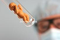 2024年陜西省規定發放獨生子女費，包括咸陽市補貼標準和領取流程