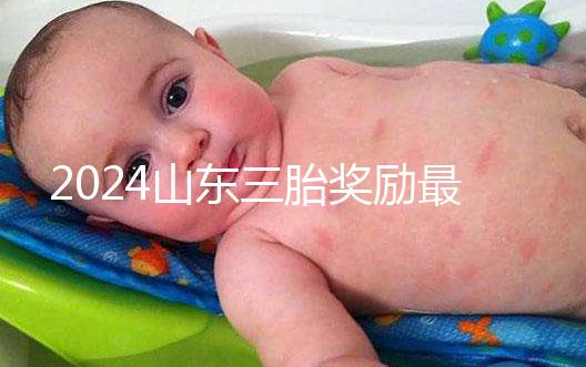 2024山東三胎獎勵最新政策發(fā)布,想造濟(jì)南文件下來沒進(jìn)來看