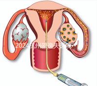 2024杭州邵逸夫醫(yī)院專家門診表，醫(yī)生上班時(shí)間一網(wǎng)打盡！